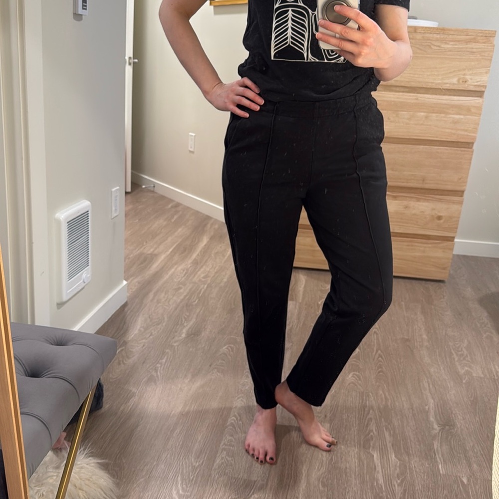 Everlane Dream Pant